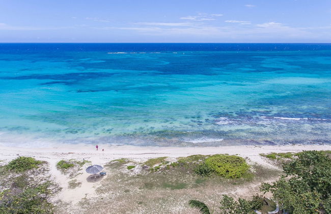 Beach Palm Villa - Photo 57