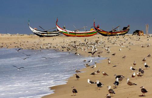 Hotel Apartamento Solverde - Foto 24