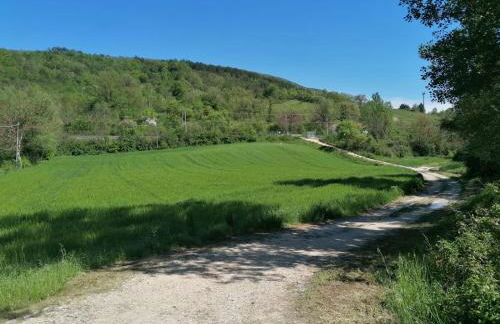 Residenza Il Conte - Foto 22