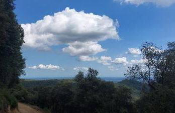 El Racó dels Mussols 2 - Foto 33