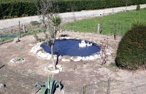 Casa de Ladrido - Foto 51