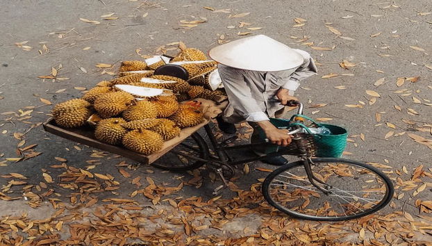 Visite privée à pied et en cyclo-pousse à Hanoï - Photo 4