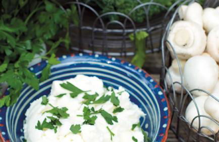 Hollweck´s Landoase - Foto 54