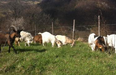 Agriturismo Il Covo del Solengo - Foto 68