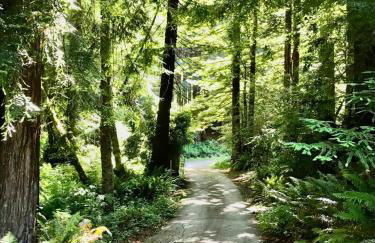 Trinidad Artist and Healing Retreat with Hot Tub - Foto 37