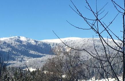 Ferienwohnung Lindenhof - Photo 30