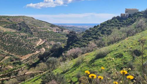 Rustic country cottage - Foto 4