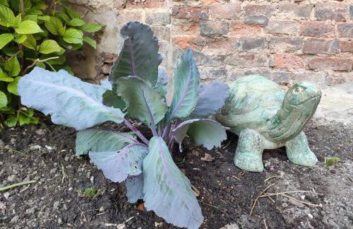 Gîte de l'église à Saint Saëns - Foto 30