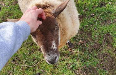Beautiful 2 bedroom guest house with private pool in Lacock, Wiltshire - Foto 19
