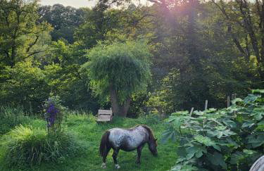 Ferienhaus Siegstrand mit Flusszugang - Foto 4