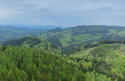 Rodzinna Przystań - Foto 19