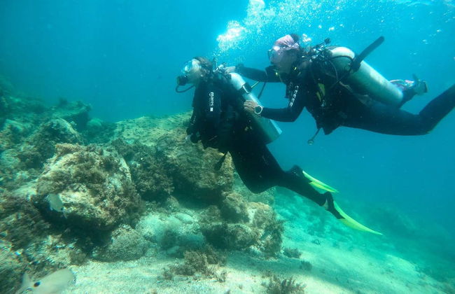Bautismo de buceo en Paraty - Foto 6