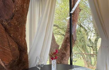 Casa na Árvore em Guarapuava - Foto 38