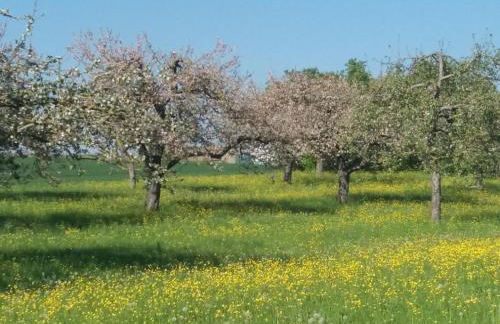 Ferienhof Arold - Photo 13