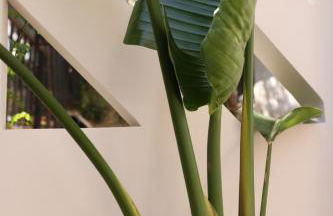 Hellenic Suites Afrodite Jacuzzi & Fireplace - Foto 24