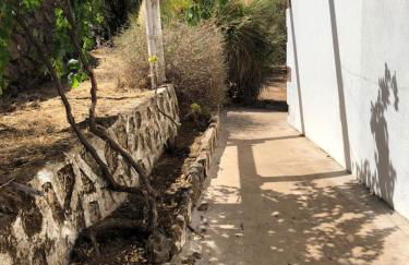 Casa-Finca El Maipéz de Tejeda - Foto 15