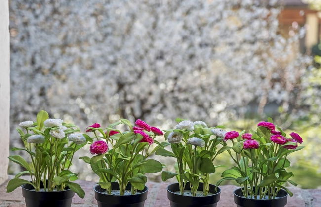 I Balconi in Iseo With 2 Bedrooms and 1 Bathrooms - Foto 24