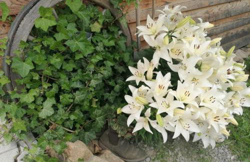 Wild Life Ranch - Foto 19