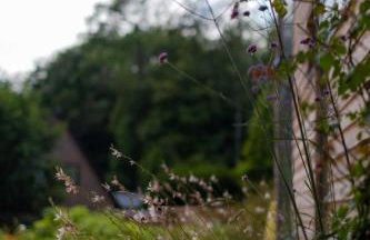 Remise am Fährhaus - Photo 21