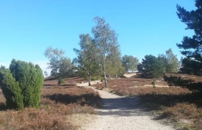 \"the Elf\" Comfortable Holiday Residence - Foto 22