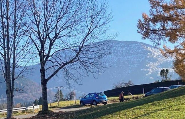 Fewo "schneerosenblüte", Oberstaufen-steibis - Foto 10