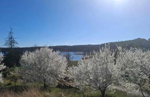 Biały Domek dla 6 osób oraz Domek Sternika dla 4 osób - jezioro, las, wiejski klimat - Foto 31