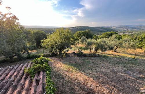 Casale Delle Querce farmhouse in Giove Umbria with pool - Foto 6