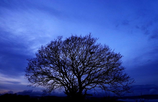 Agriturismo Fontelupo - Foto 38