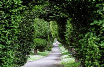 Bright & Beautiful Open Plan Coach House Painswick - Foto 58