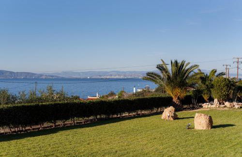 Villieta Marina - Foto 17