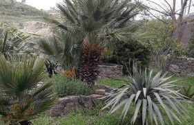 Il giardino del borgo - Foto 15