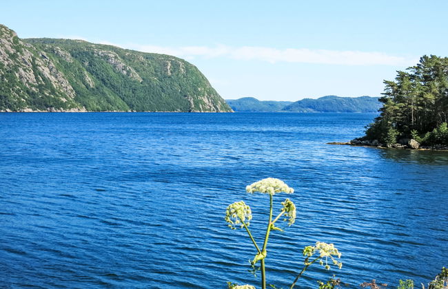 Åptafjorden - Foto 26