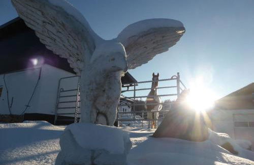 Wild Life Ranch - Foto 37