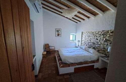 Casa na horta, planície alentejana - Foto 6