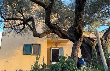 Villa "Il Giardino di Rocco" - Foto 22