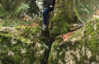 GreenHolidays - Foto 38