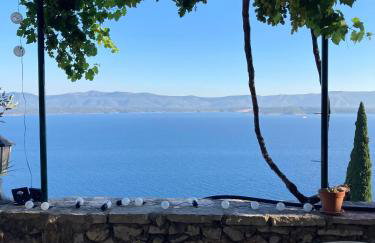 Blue Dream - Foto 45