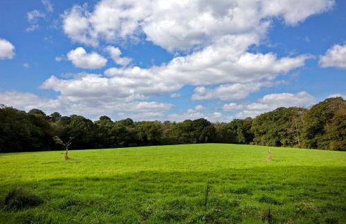 Colleton Hall and East Wing - Foto 50
