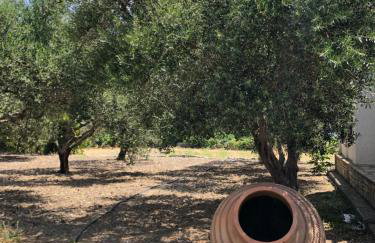 Gaia Apartments - Photo 23