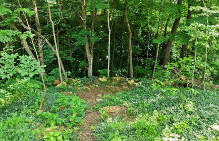 Pole Barn - Rustic 1BR Family Retreat with Open Views - Foto 56