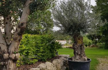 Ehemalige Schmiede -Dormitorium- - Foto 17