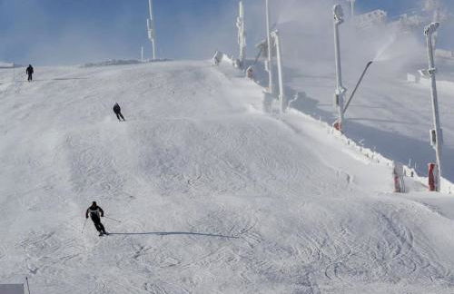 Charmant logis Gérardmer - Photo 52