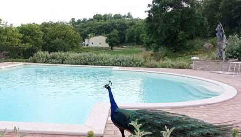 Agriturismo Lochicchiolo - Foto 5