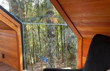 La negra - cabana entre araucárias - Foto 26