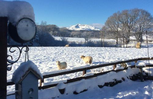 Old Coach House, Betws y Coed, Snowdonia - Foto 5