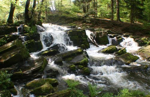 Wohnen im alten Kornspeicher - Foto 28