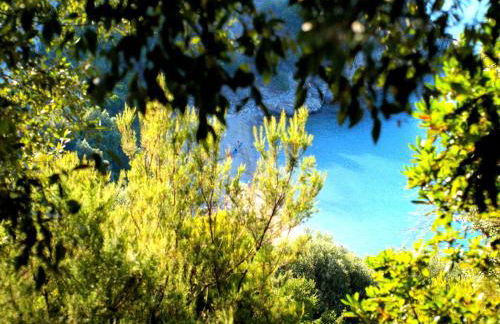 Marianni Studios - Photo 21