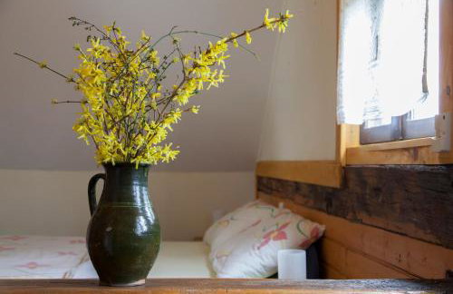 Pension Kezele - Foto 76