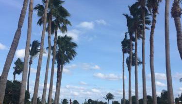 Key Biscayne Beach Vacation - Photo 3