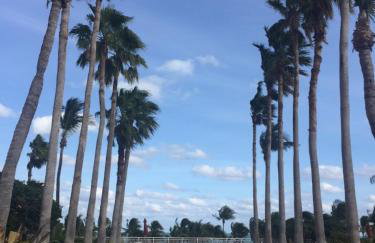 Key Biscayne Beach Vacation - Foto 3